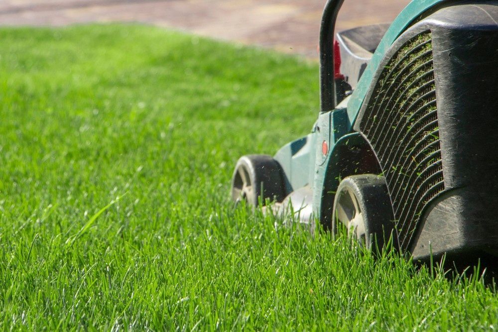 A Green Lawn Mower Cuts Lush, Vibrant Grass — Banksia Turf In Smiths Lake, NSW