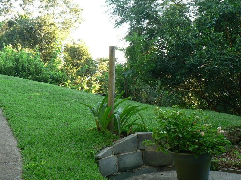 A beautiful lawn with a pathway and some stones — Banksia Turf in Upper Lansdowne, NSW