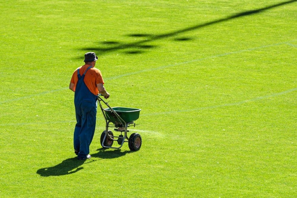 Man Spreading Fertilizer on Green Grass with A Spreader — Banksia Turf in Wingham, NSW