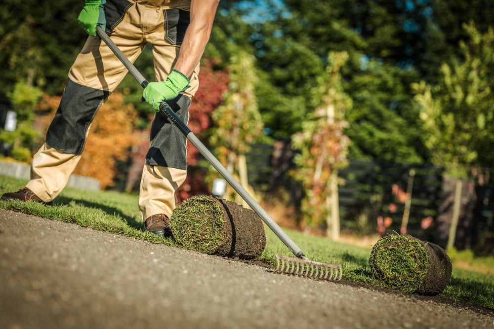 A Person Lays Rolled Turf on a Garden Path Using a Rake — Banksia Turf In Smiths Lake, NSW