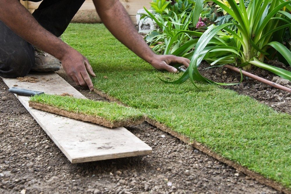 Person Installing Sod in A Garden Bed; Hands Placing Rectangular Grass — Banksia Turf in Taree, NSW