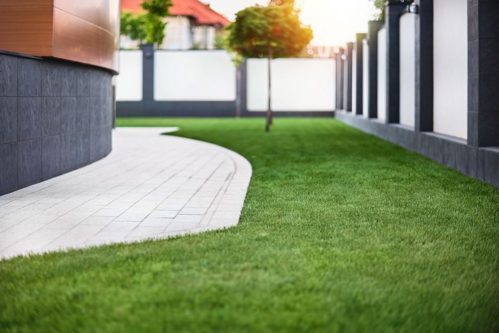 Modern Garden With a Curved Stone Path Beside a Lush Green Lawn — Banksia Turf In Laurieton, NSW