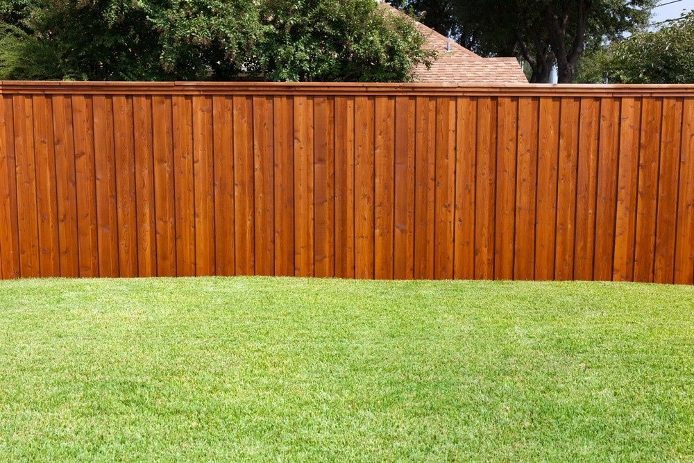 Wooden Fence, Stained Dark Brown, Borders a Green Grassy Lawn — Banksia Turf in Gloucester, NSW