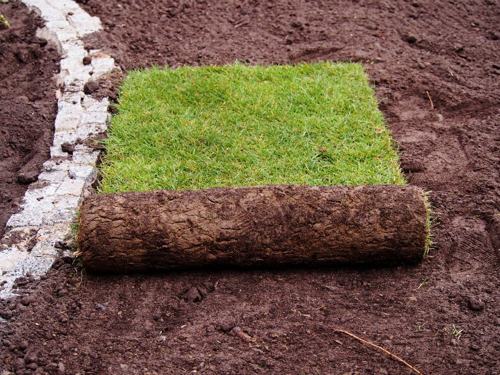 Roll of Sod Partially Unrolled on Fresh, Dark Soil — Banksia Turf In Tuncurry, NSW