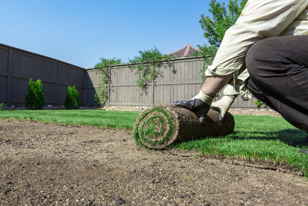 Worker in Gloves Rolls Out a Strip of Sod on Bare Soil — Banksia Turf In Bulahdelah, NSW