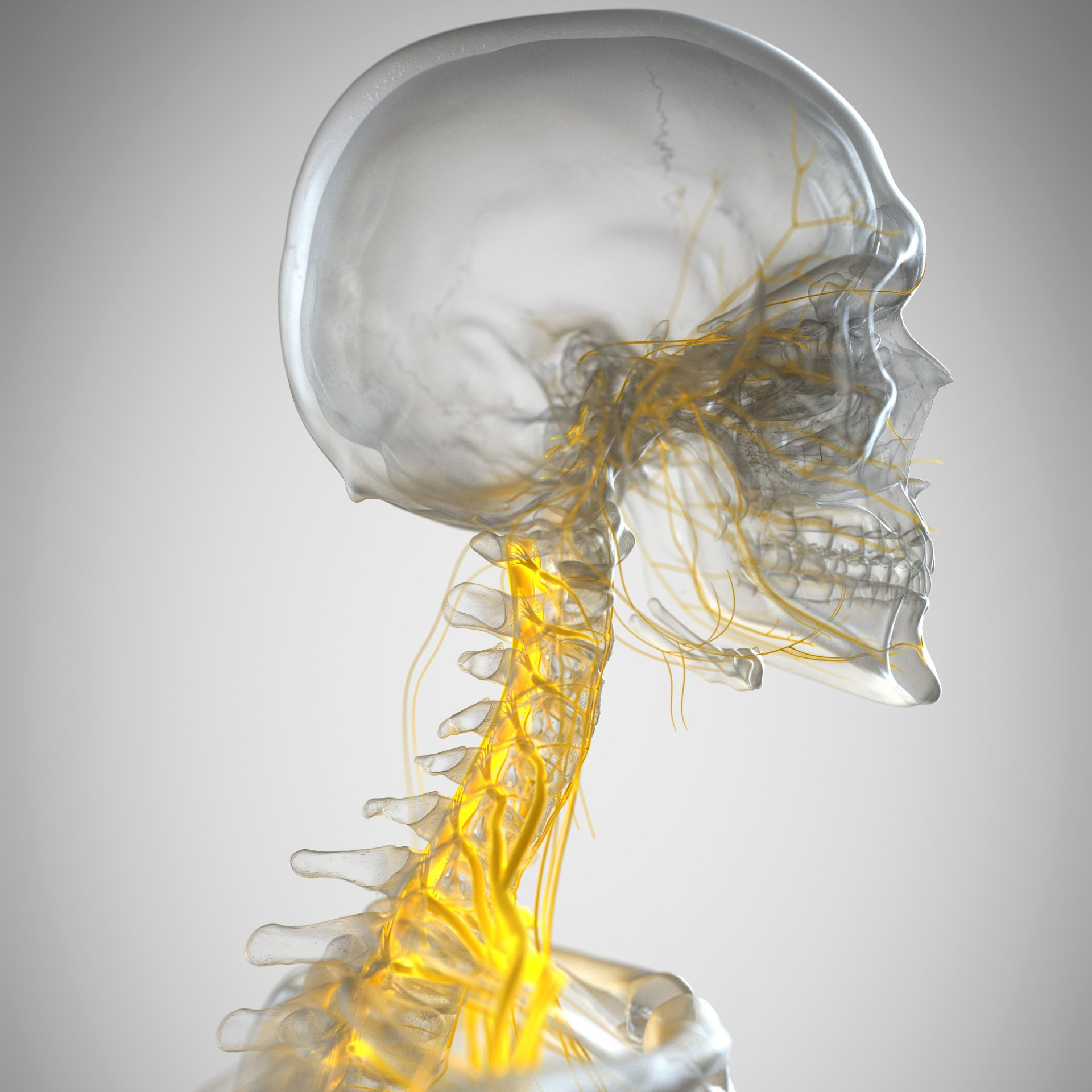 Médico para tratar dor cervical no RJ