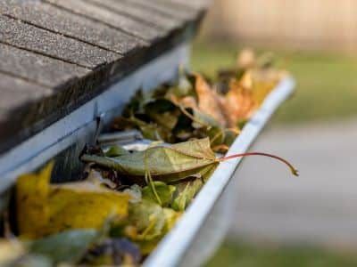 A gutter filled with leaves on the side of a house.