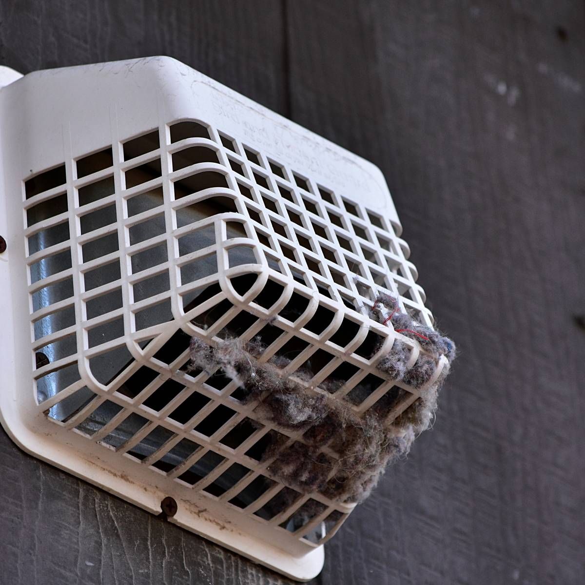 White dryer vent with lint buildup on a gray wood-paneled wall.