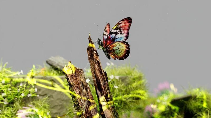 Una farfalla colorata è seduta su un ramo di un albero.