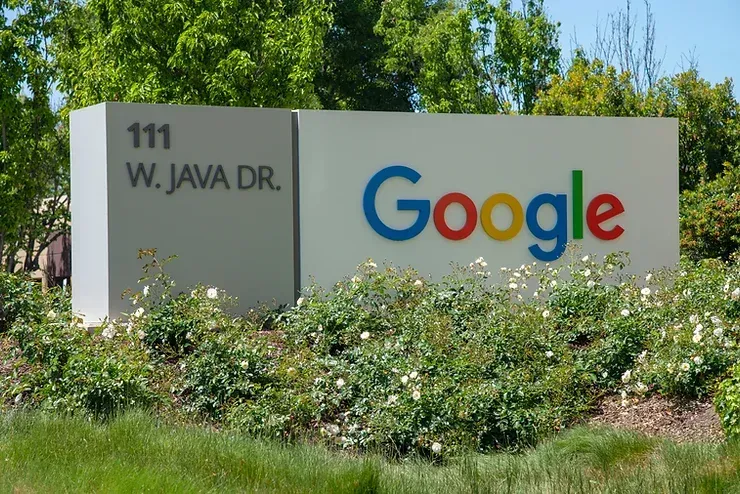 Un cartello di Google si trova in mezzo a un rigoglioso campo verde.