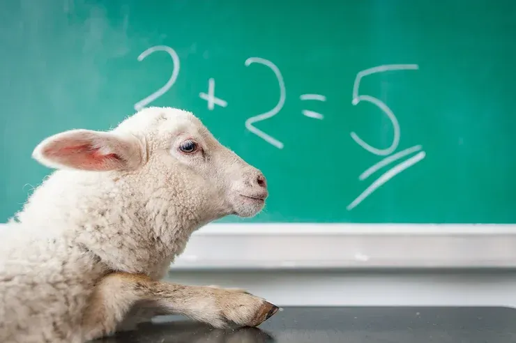 Una pecora è seduta davanti a una lavagna su cui sono scritti dei problemi di matematica.