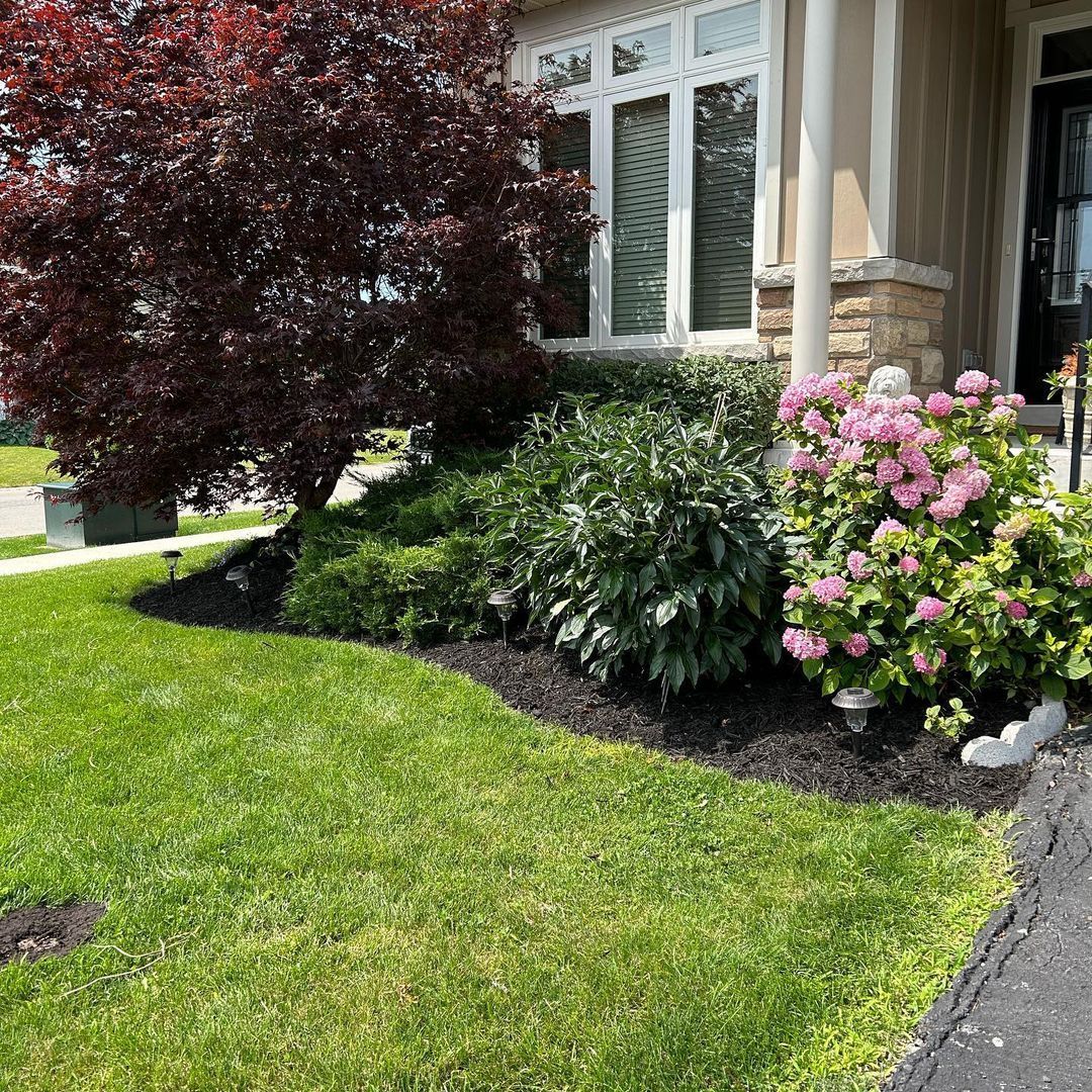 A house with a lush green lawn and flowers in front of it.