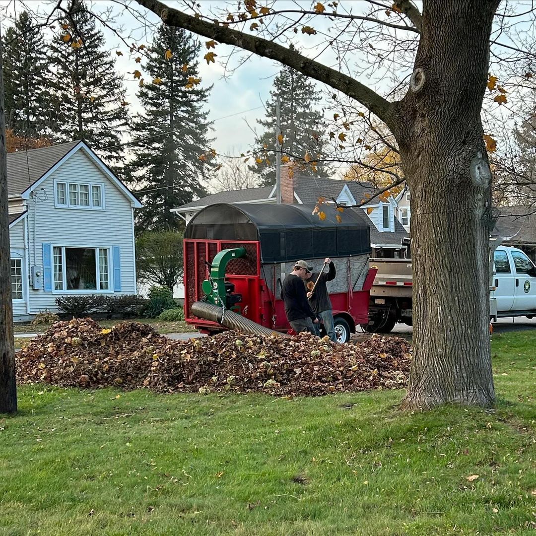 A man is loading leaves into a truck in a yard.