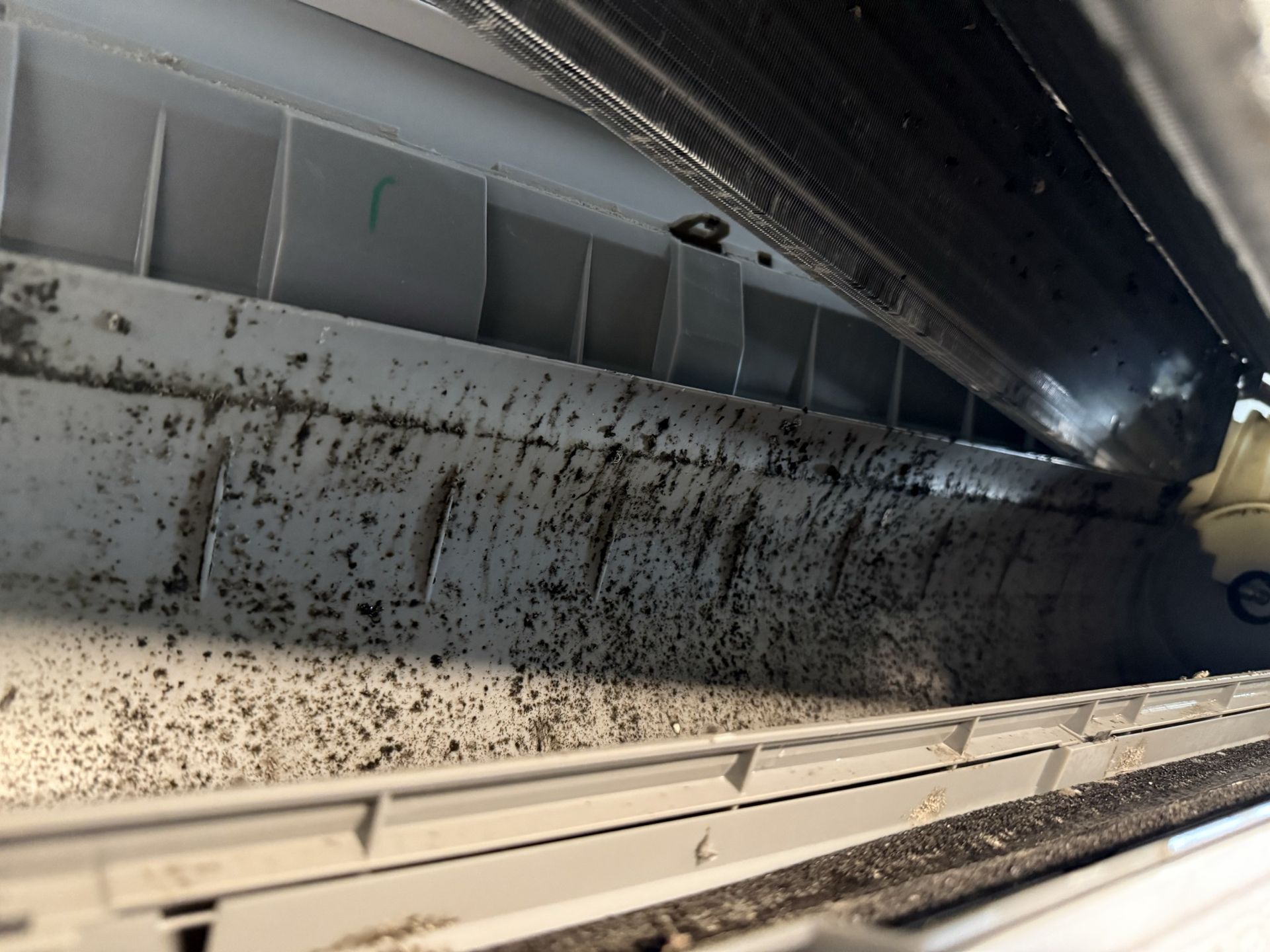 Close-up view of an air conditioner’s interior, showing heavy black mold buildup on the plastic casing and blower wheel.