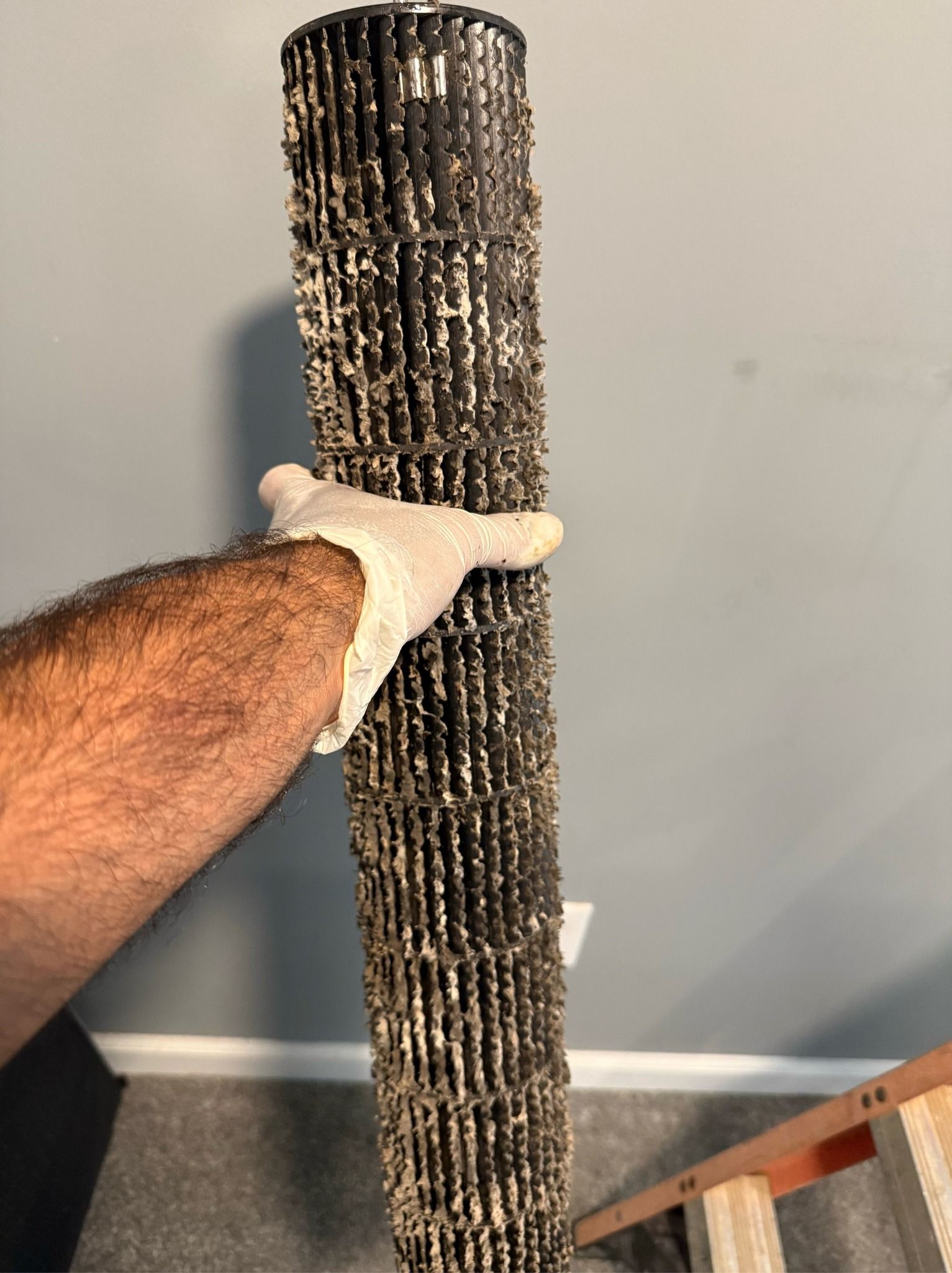 A person wearing a glove holds a severely dirty, dust-covered HVAC blower wheel against a grey wall background.