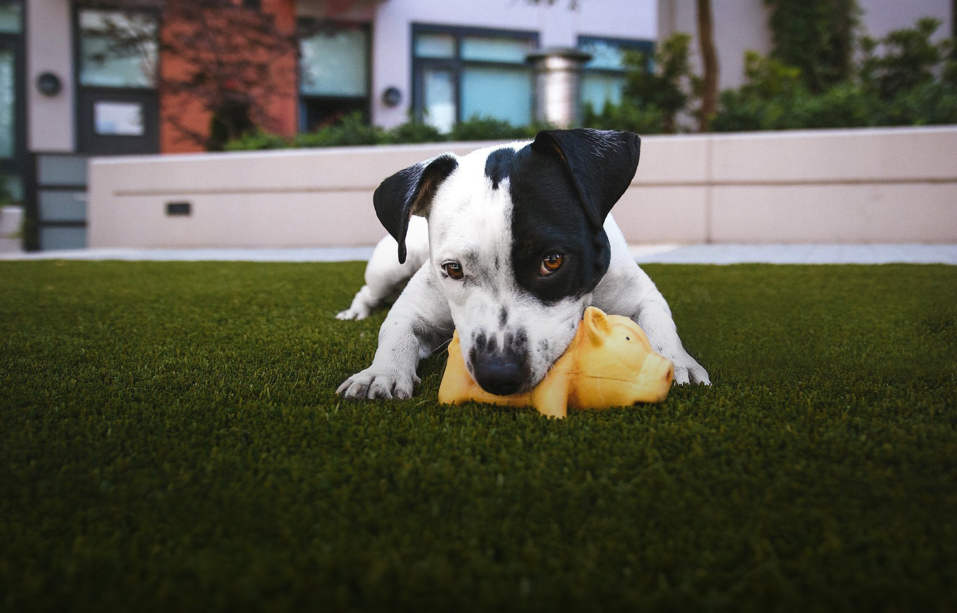 Paul our Networking & Development specialist