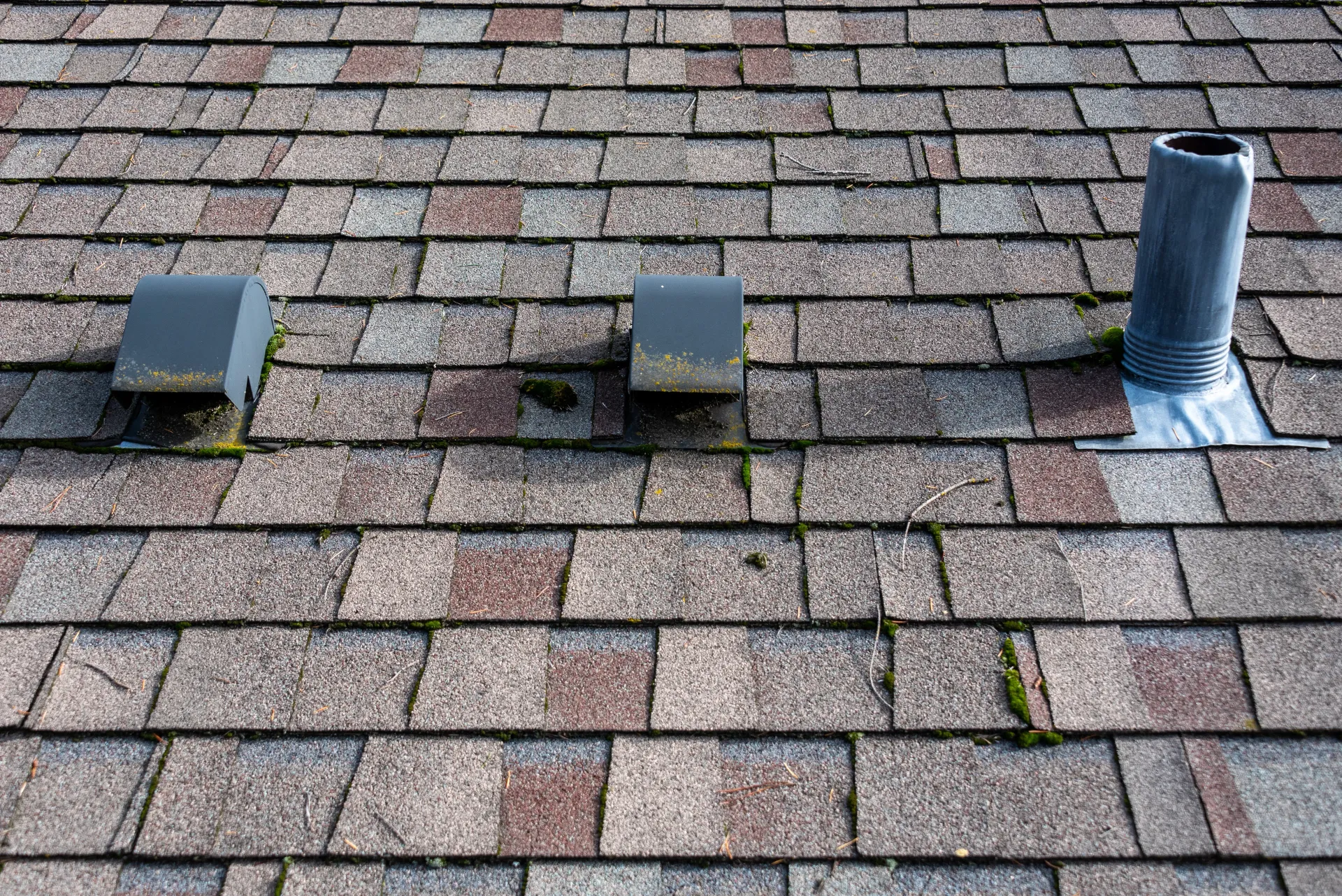 Asphalt shingle roof with two vents and a chimney, showing patches of moss.