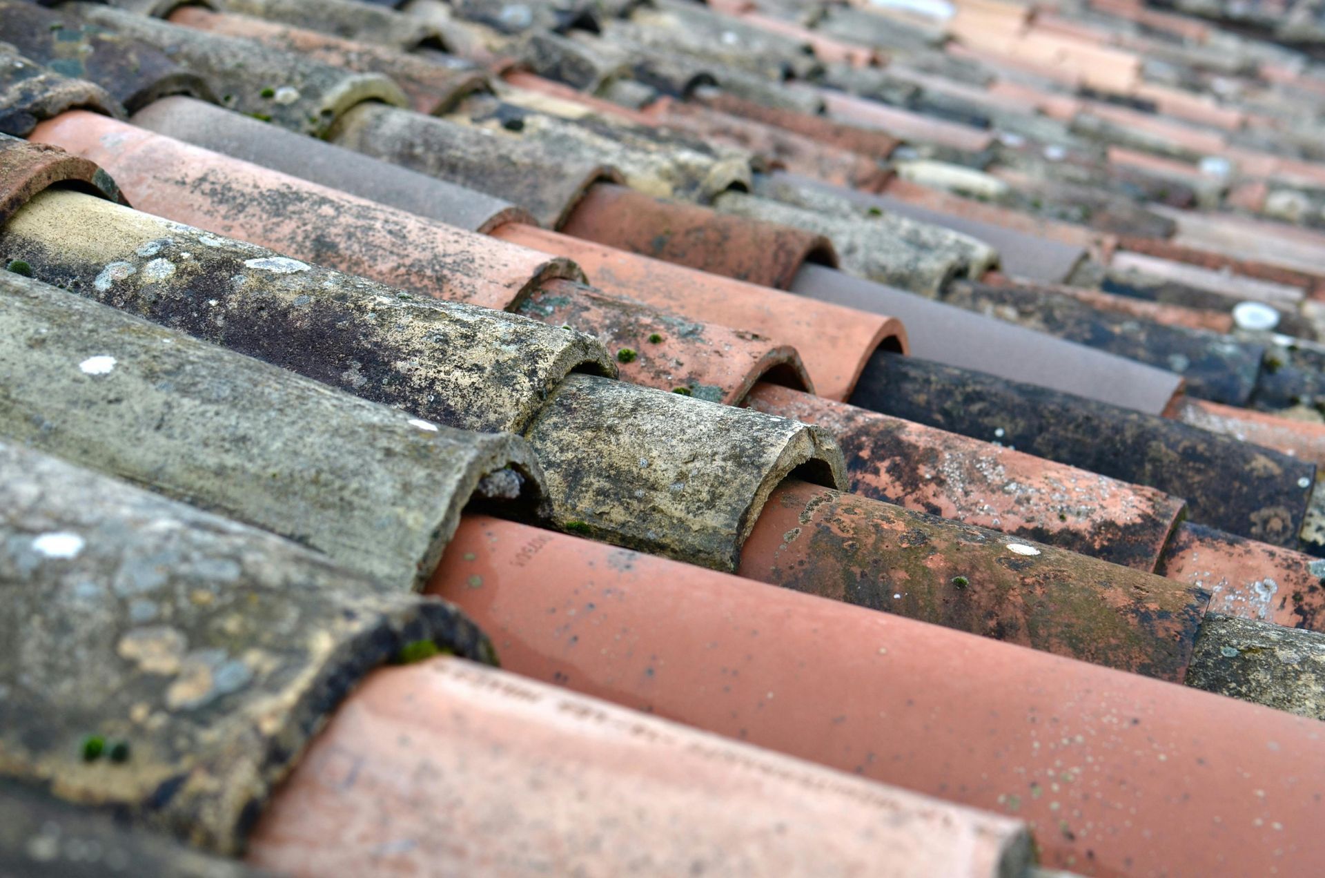Close-up of weathered terracotta roof tiles, some with algae growth, creating a textured pattern.
