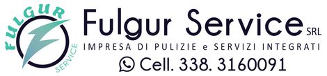 FULGUR LOGO