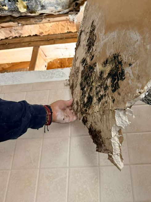 A hand holds a piece of damaged ceiling drywall covered in black mold, revealing the exposed wooden attic structure above.
