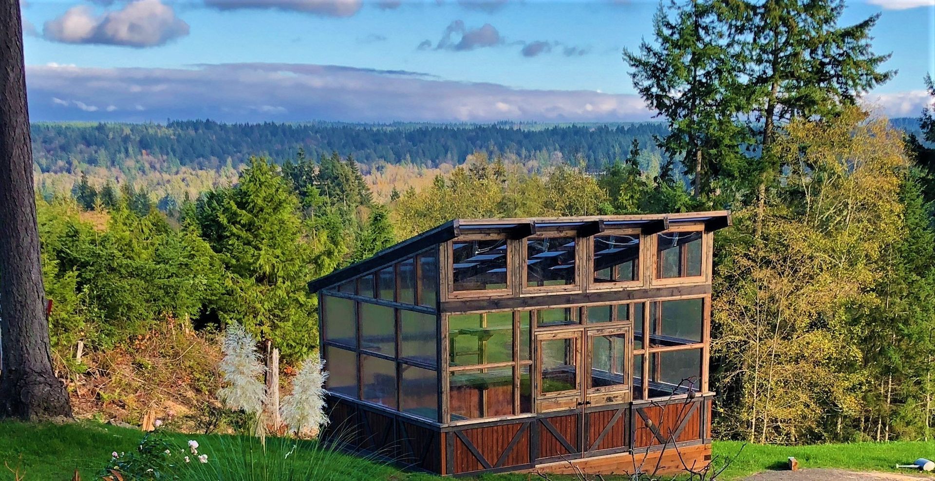 A greenhouse made out of old windows is sitting in the middle of a lush green field.