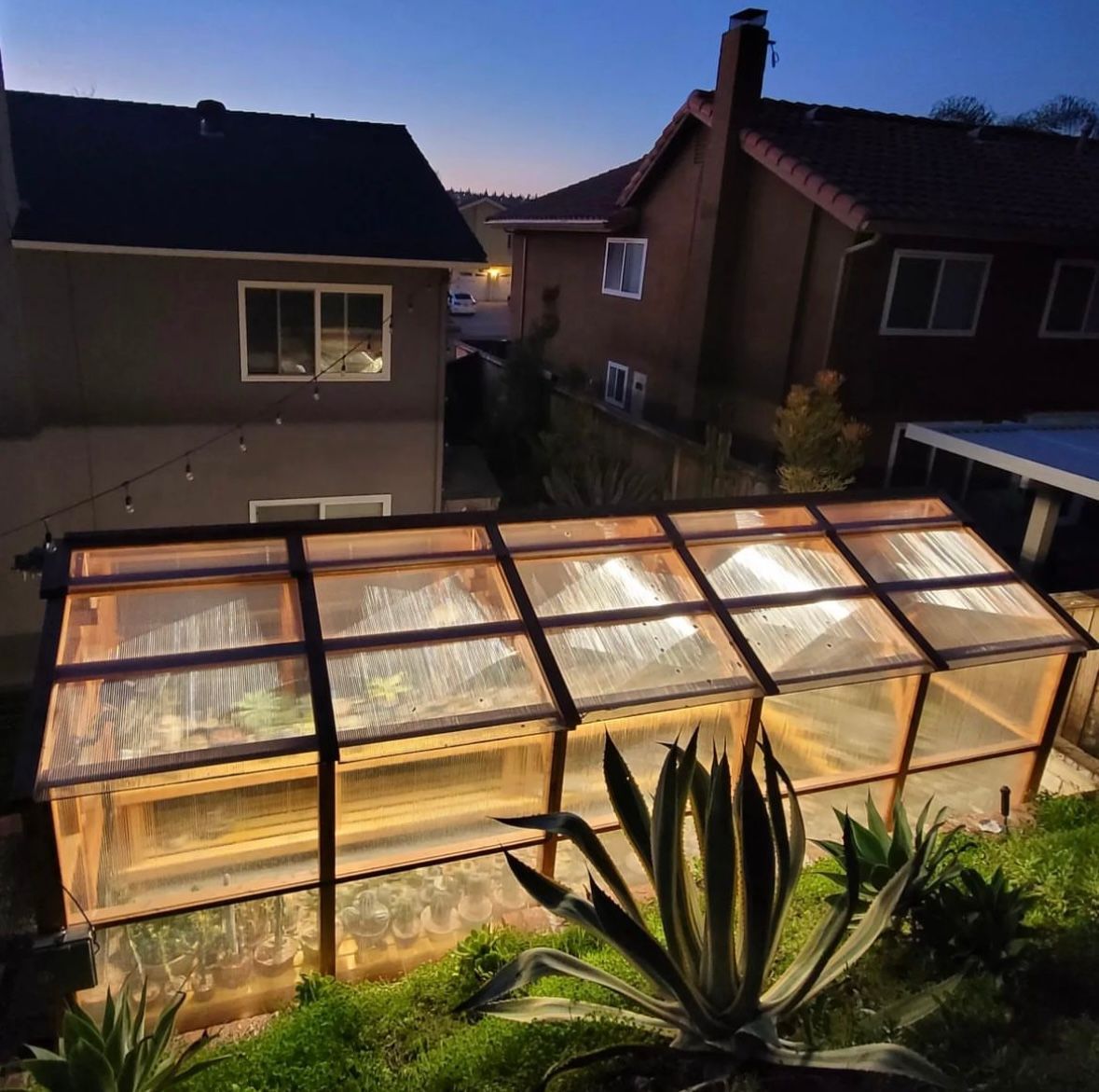 Greenhouse with plants illuminated at dusk, set between two houses.