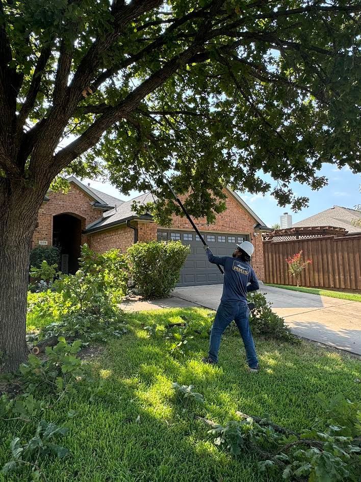 tree services | D & M Tree Services | Royse City, TX