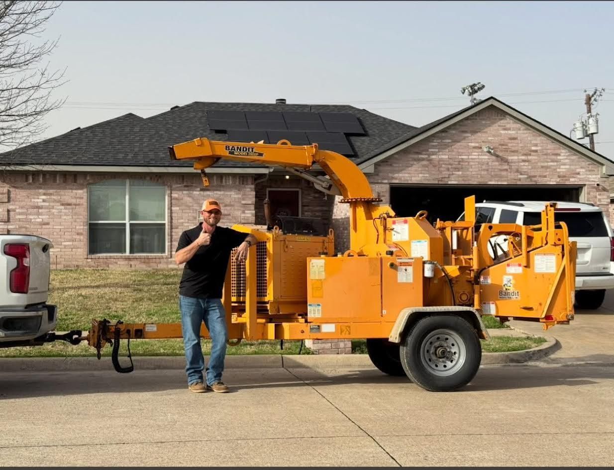 A man is climbing up a tree with a ladder