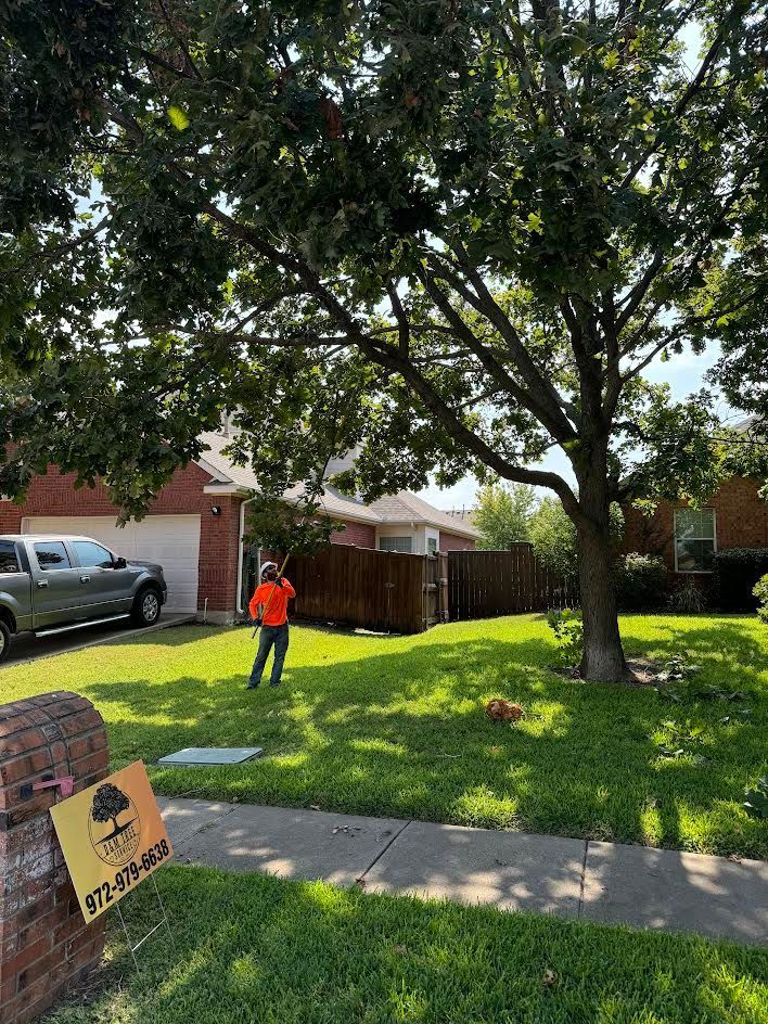 Person in orange shirt near a tree; a truck and house in the background. Sign for tree service in the foreground.