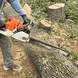 A man is cutting a large log with a chainsaw.
