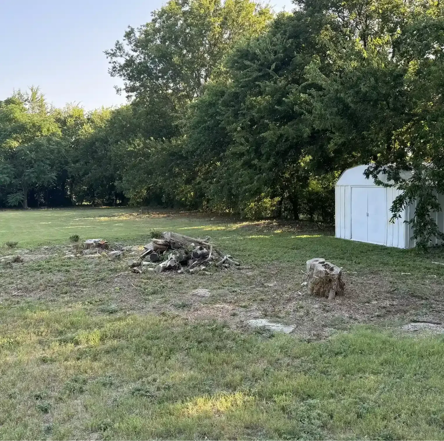 A white shed sits in the middle of a grassy field surrounded by trees.