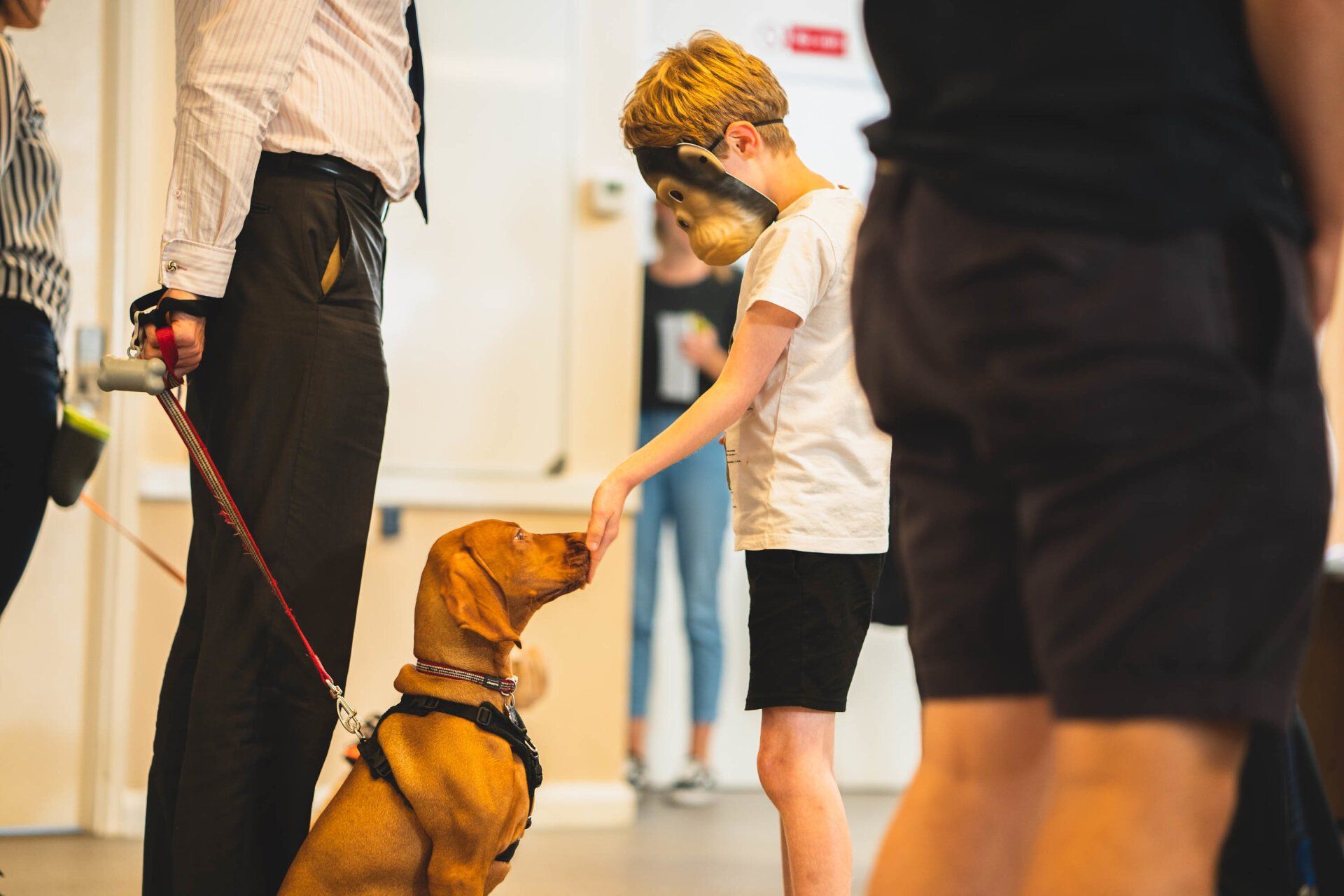 dog and human bonding