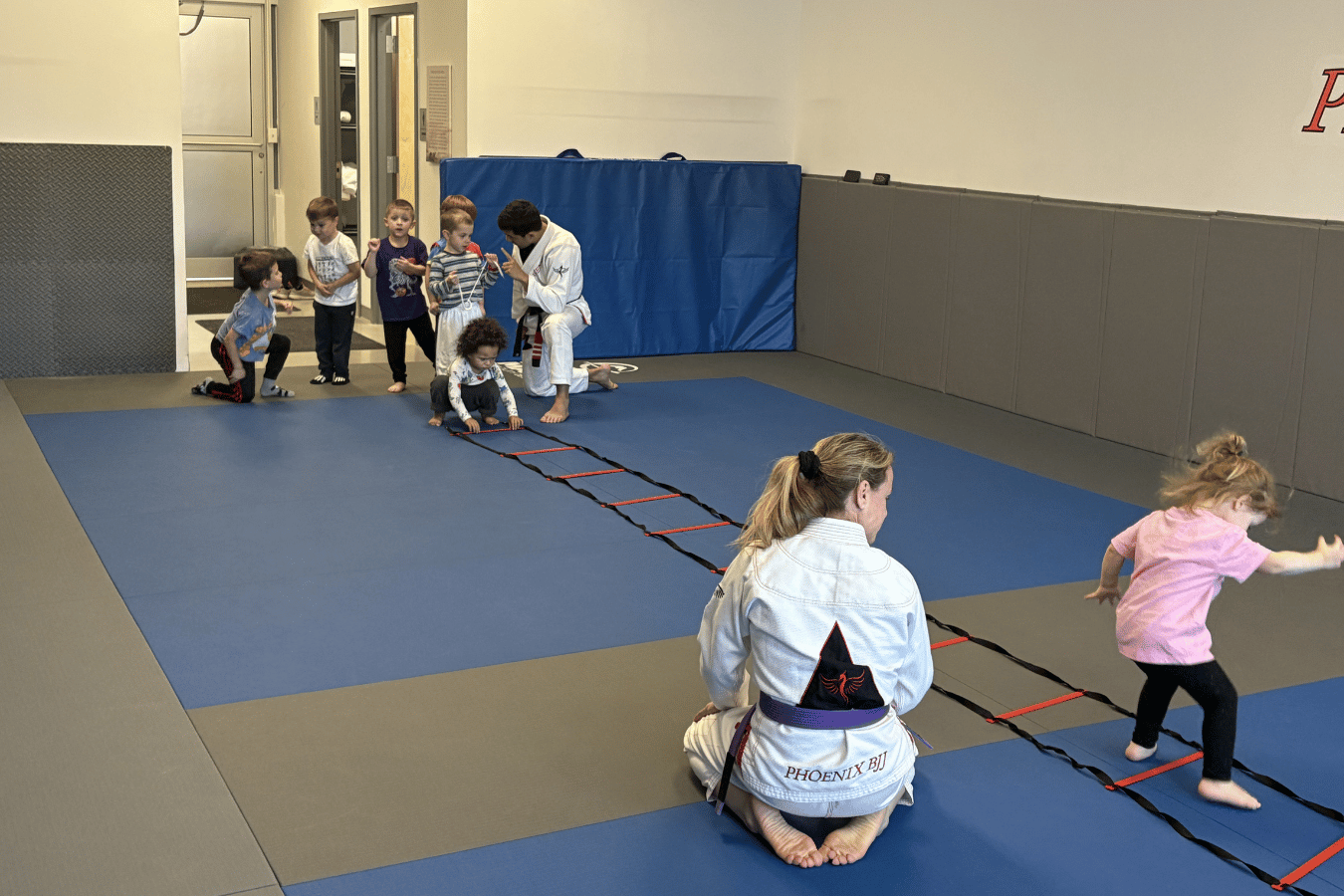 Phoenix BJJ