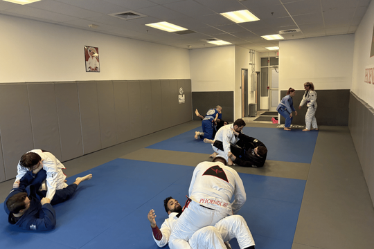 Phoenix BJJ