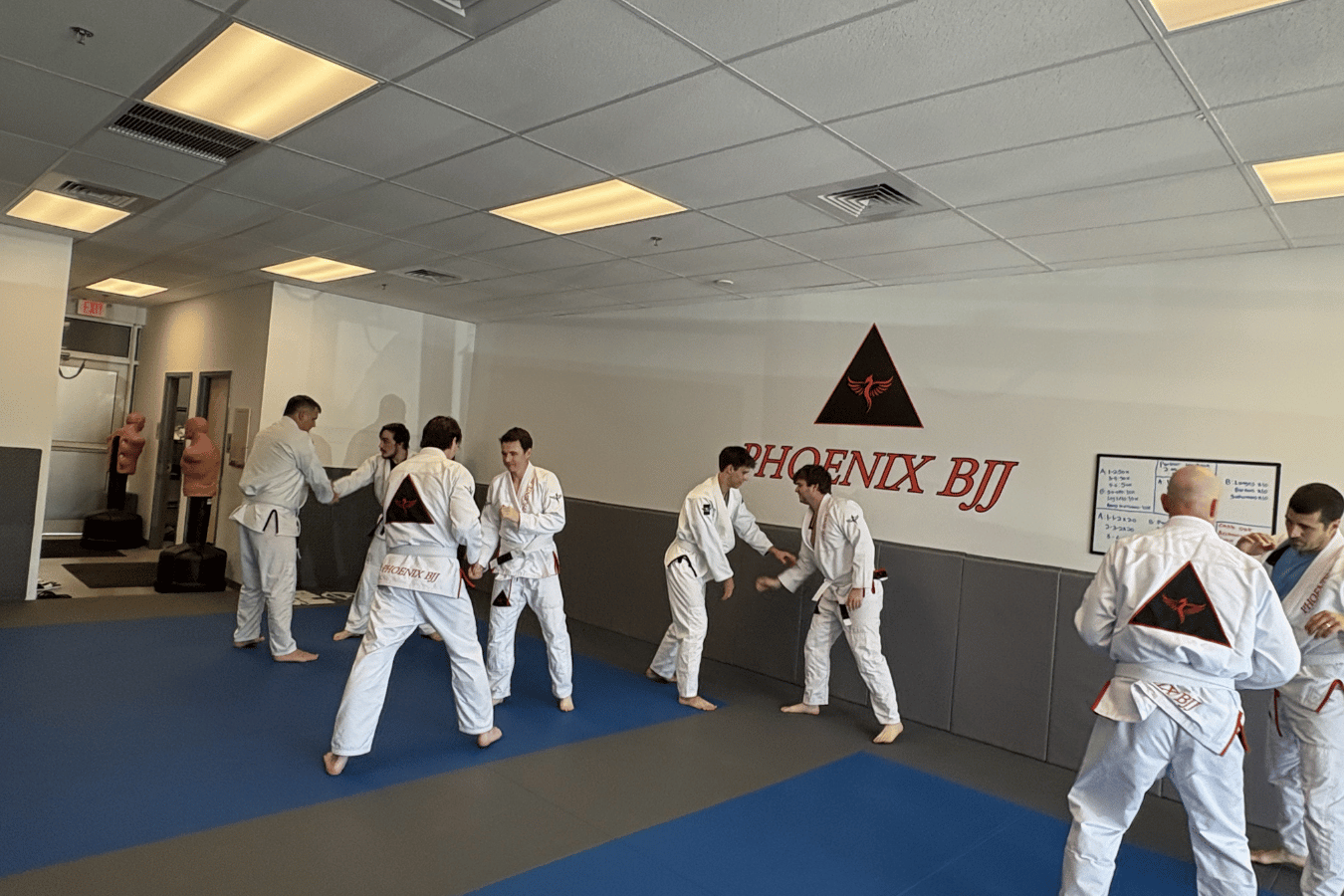 Phoenix BJJ