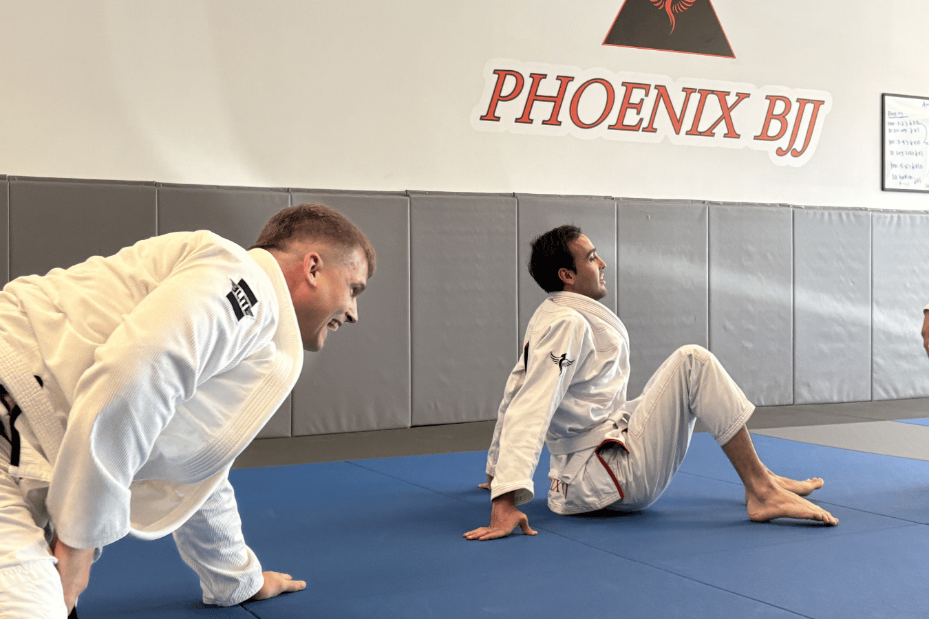 Phoenix BJJ