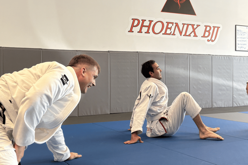 Phoenix BJJ