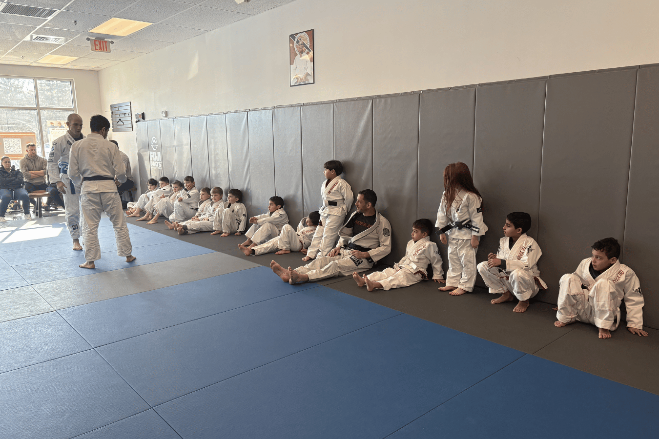 Phoenix BJJ