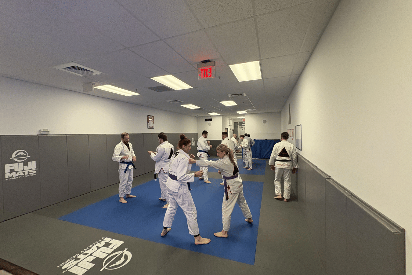 Phoenix BJJ