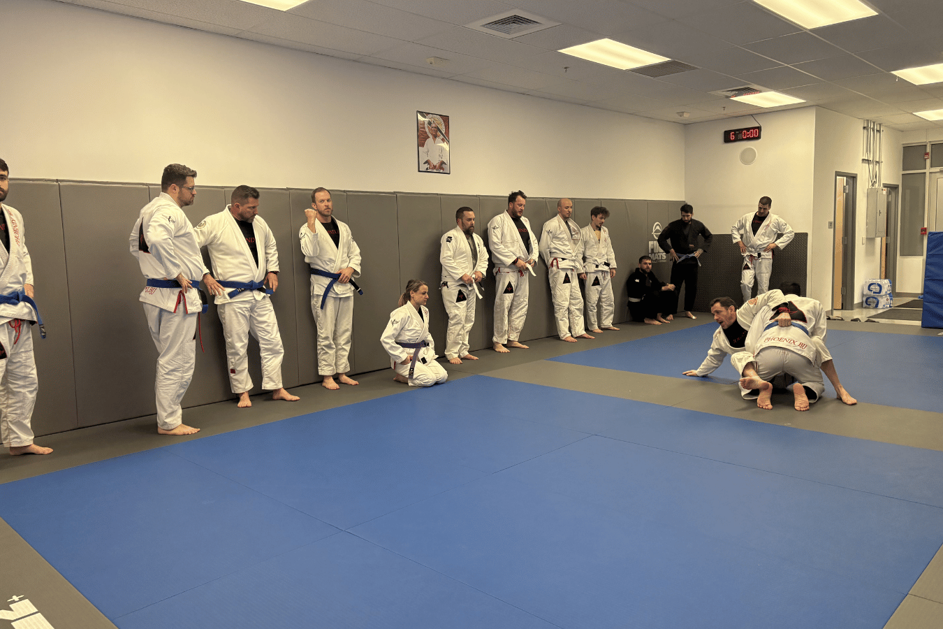 Phoenix BJJ