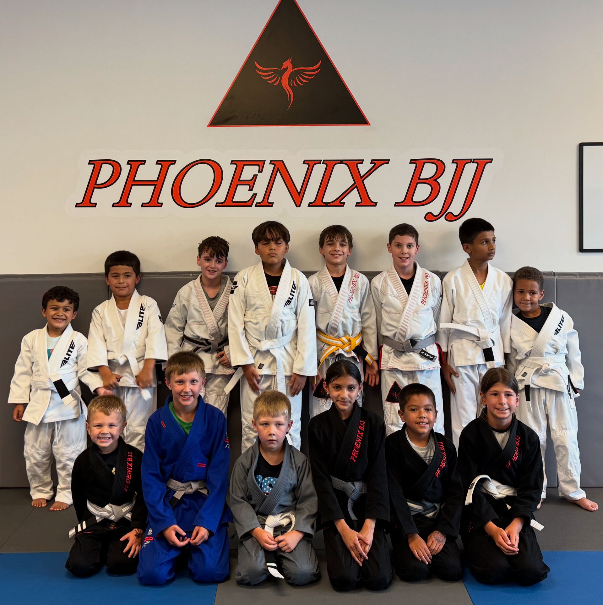 Phoenix BJJ