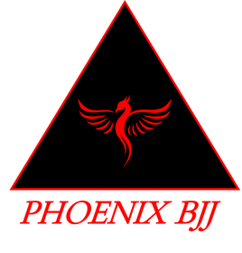 Phoenix BJJ