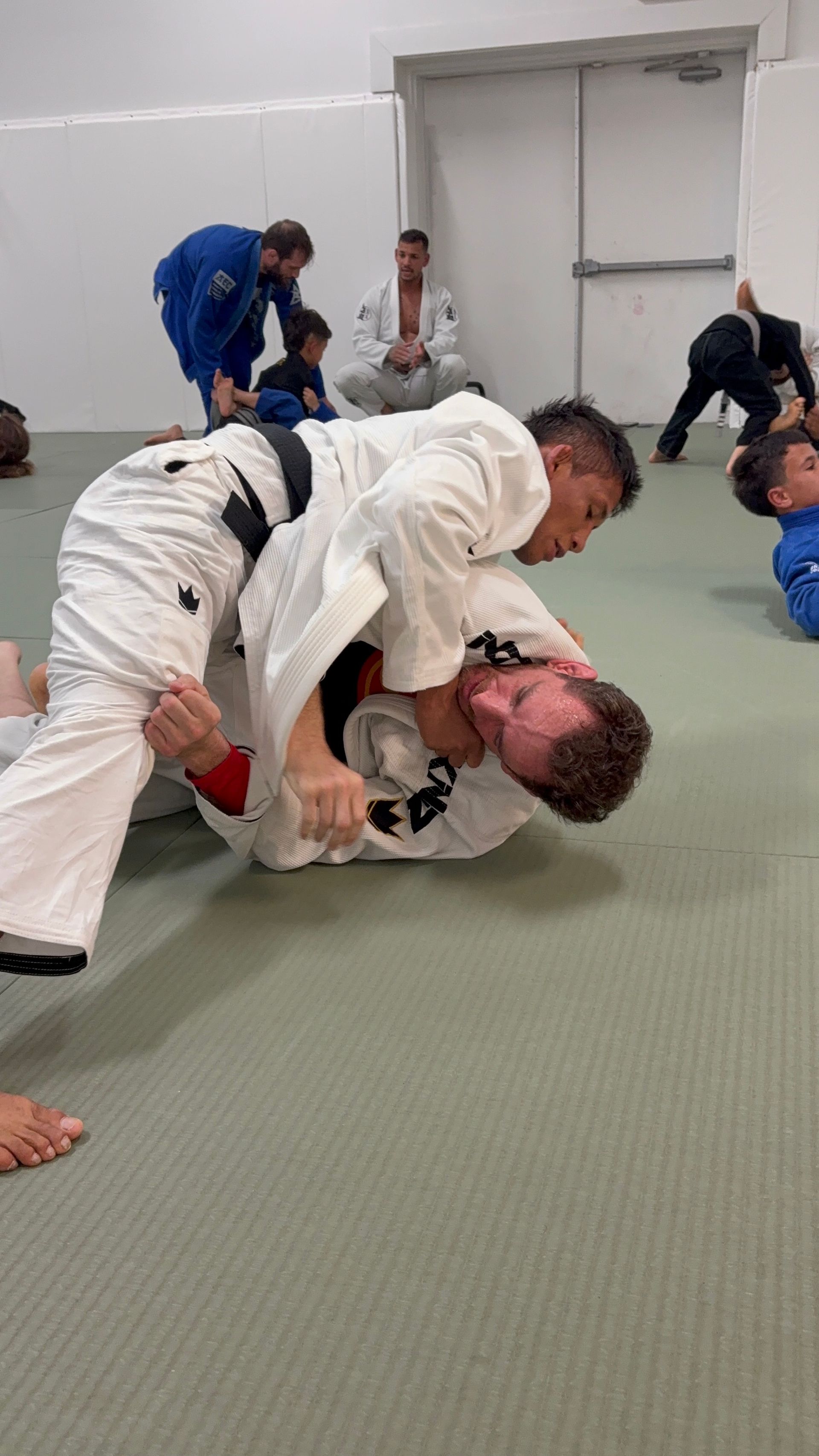 Adults training Brazilian Jiu-Jitsu at Phoenix Brazilian Jiu-Jitsu and Martial Arts School.