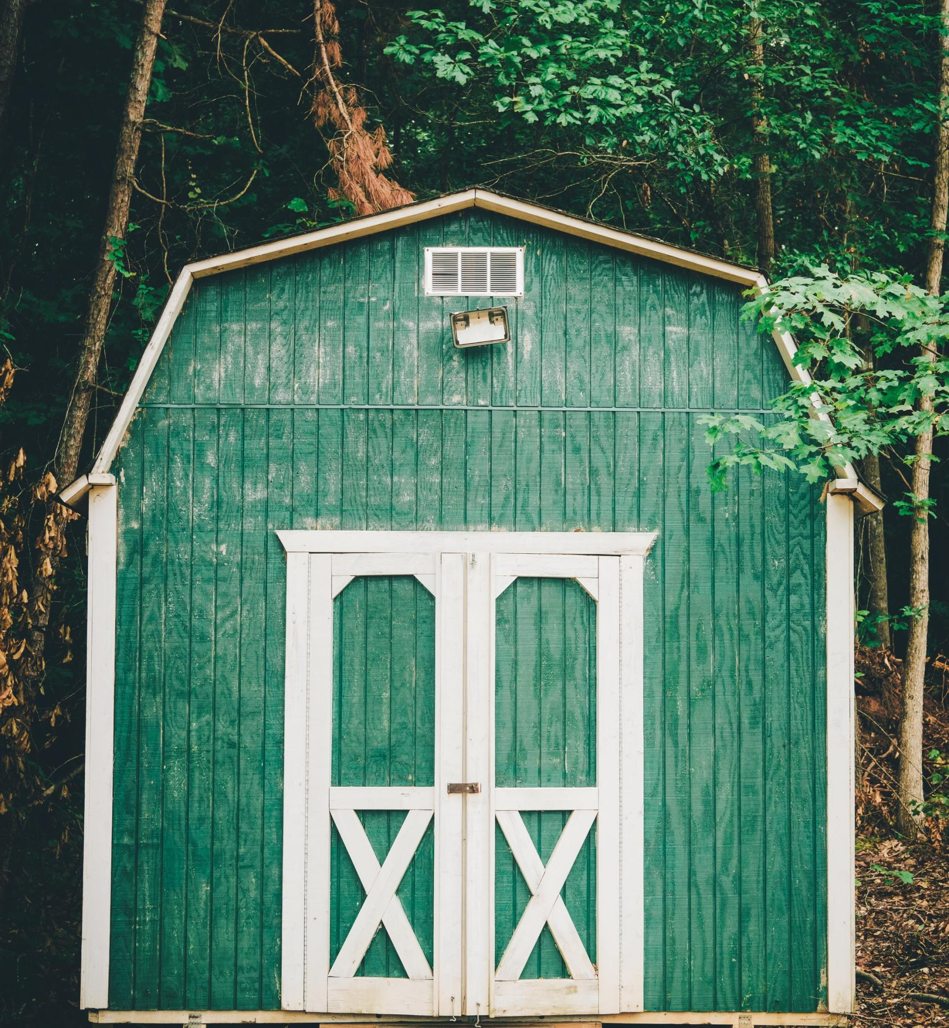 Spacious shed for storage or hobbies