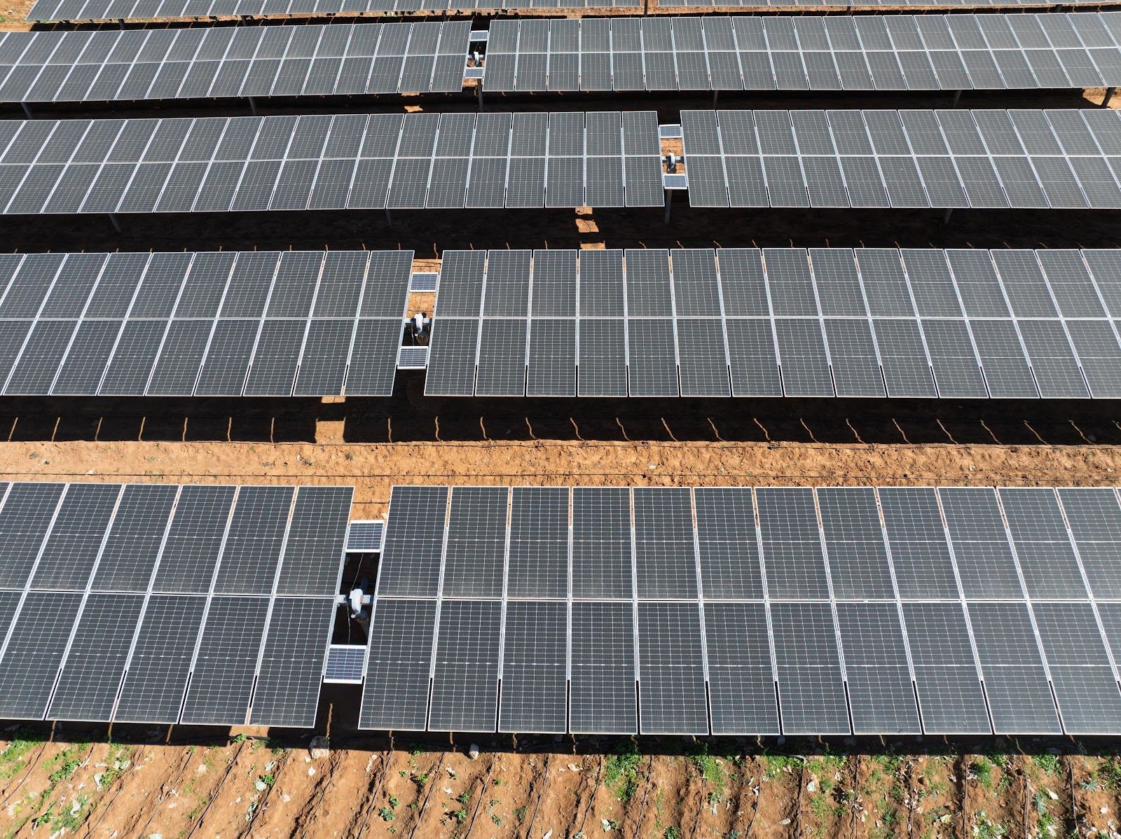 Solar panels arranged in rows on brown earth.