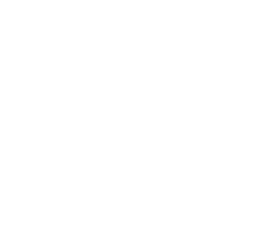 Blank white screen with a faint gray border