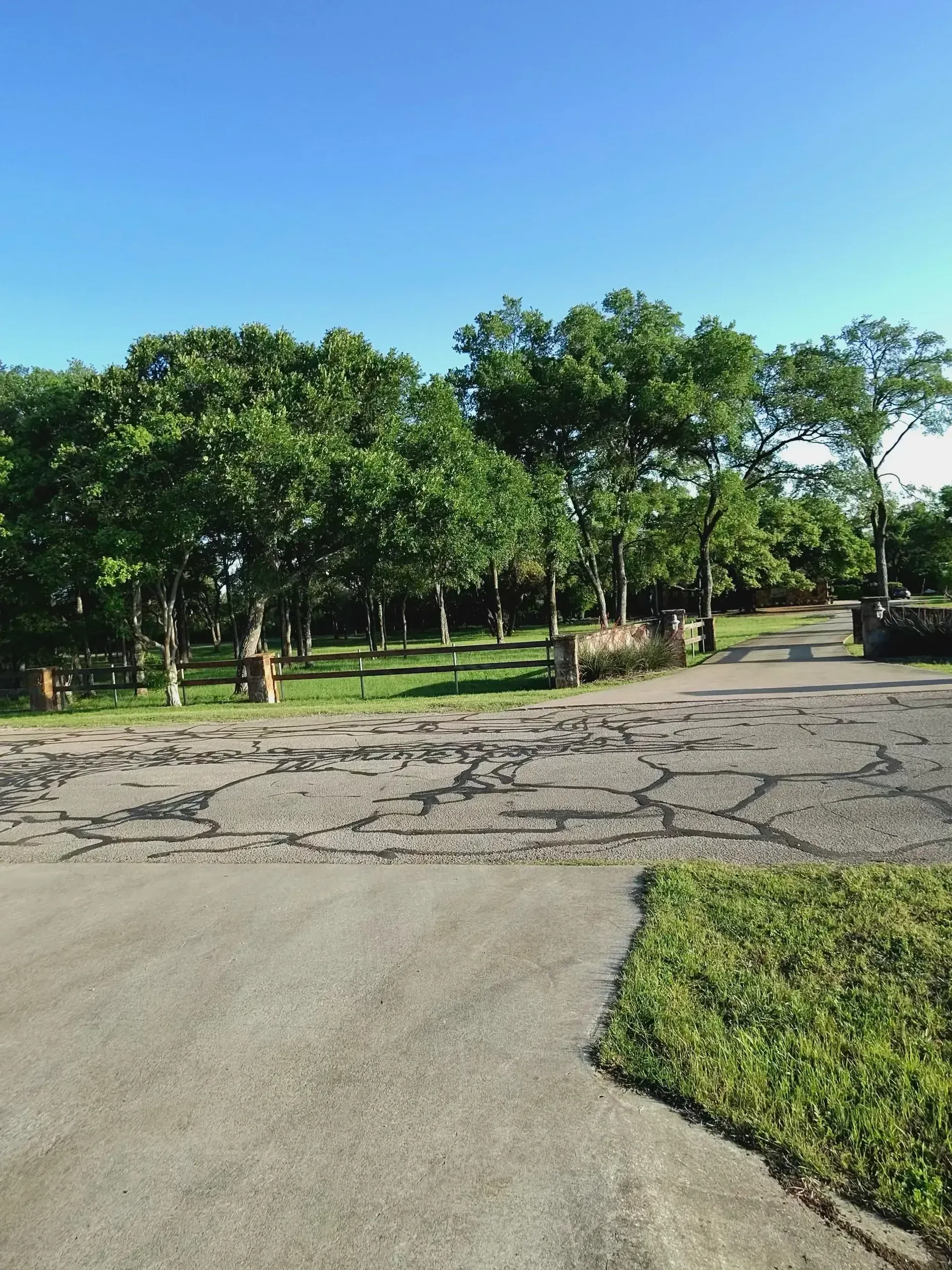 Paved road leading to a grassy area with trees under a clear blue sky.