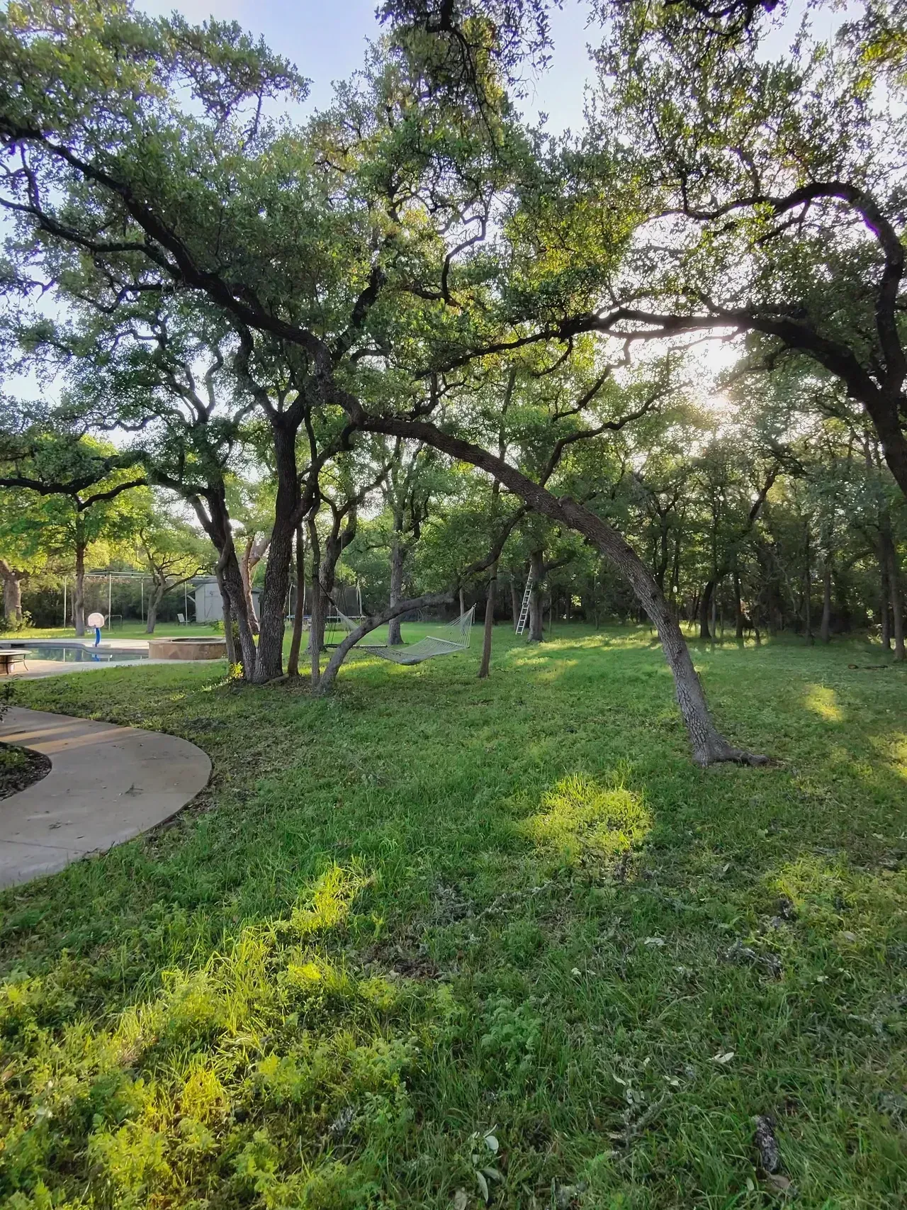 Lush green yard with trees, sunlight, and a curved walkway. A pool and figures are visible in the distance.