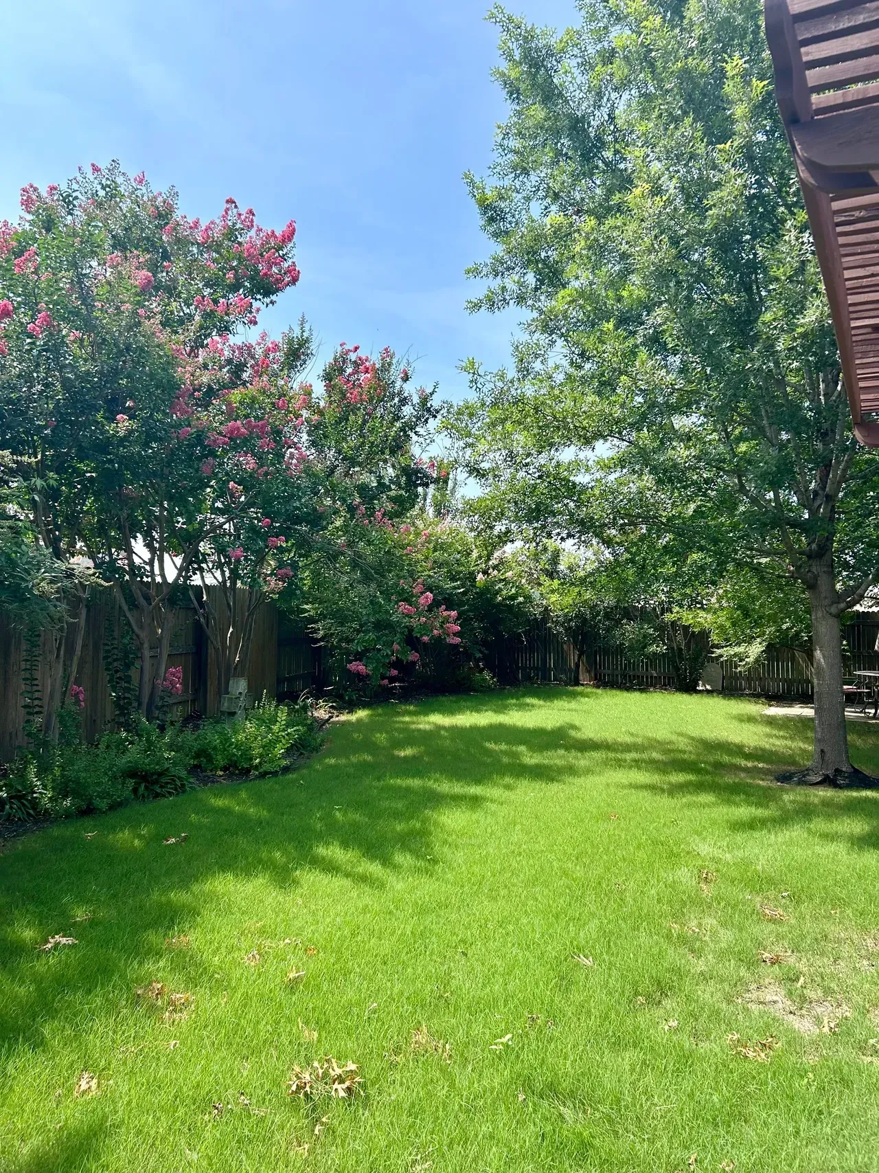 Green backyard with lush grass, trees, and a wooden fence under a blue sky.