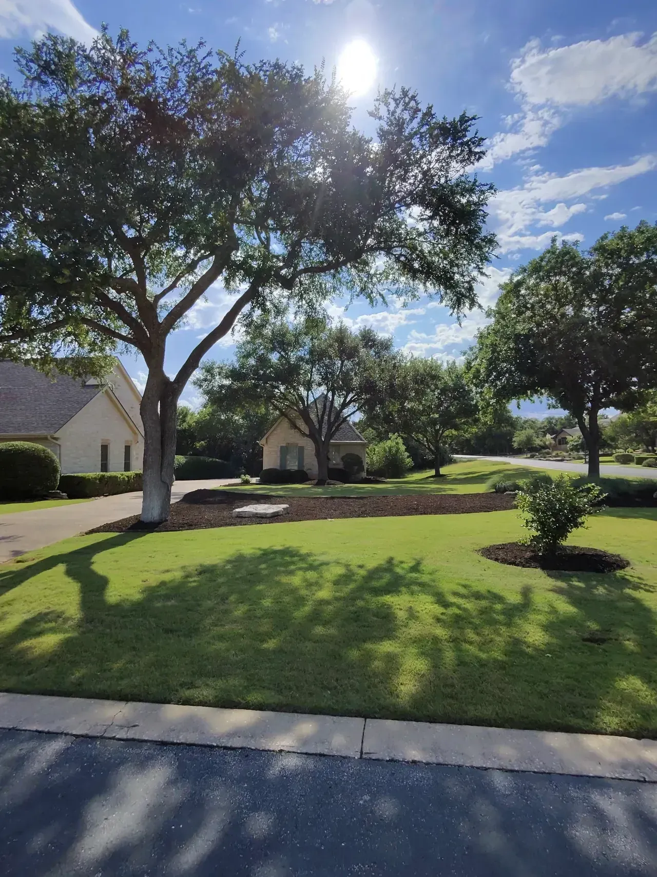 Sunlit neighborhood scene with trees, green grass, and houses against a blue sky.